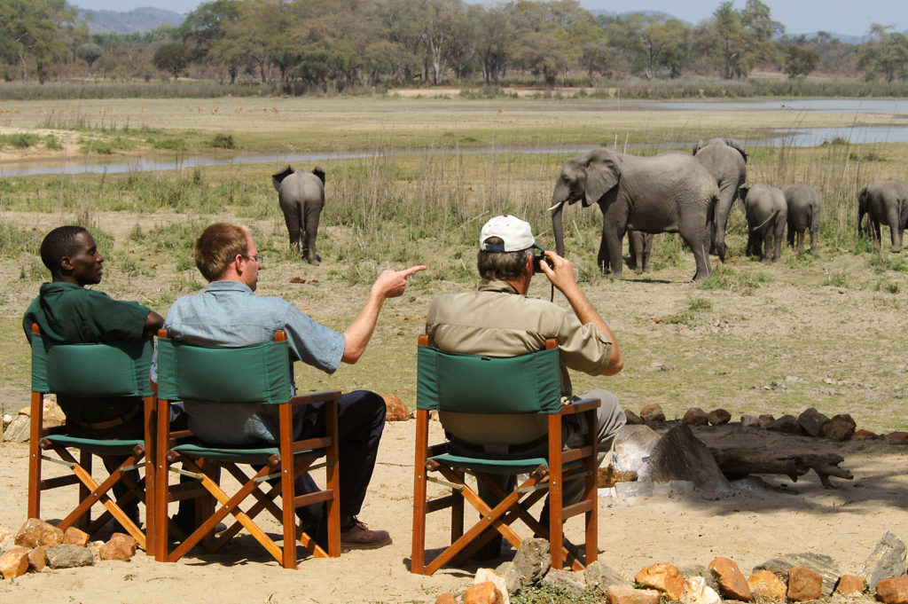 wildlife-tourism